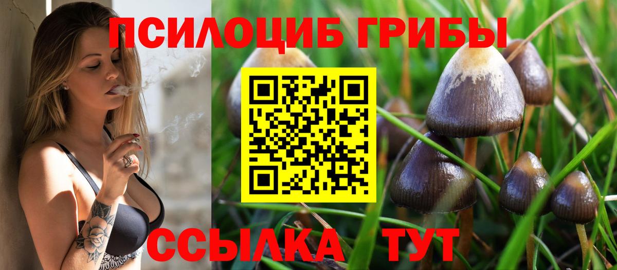 Псилоцибиновые грибы Psilocybine cubensis  Галлюциногенные грибы GOLDEN TEACHER  Вход с VPN  Магнитогорск 